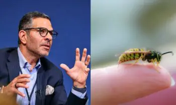 Un milliardaire indien m€urt après avoir été piqué par une abeille